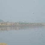 Vraj-Yatra-2014- (443)